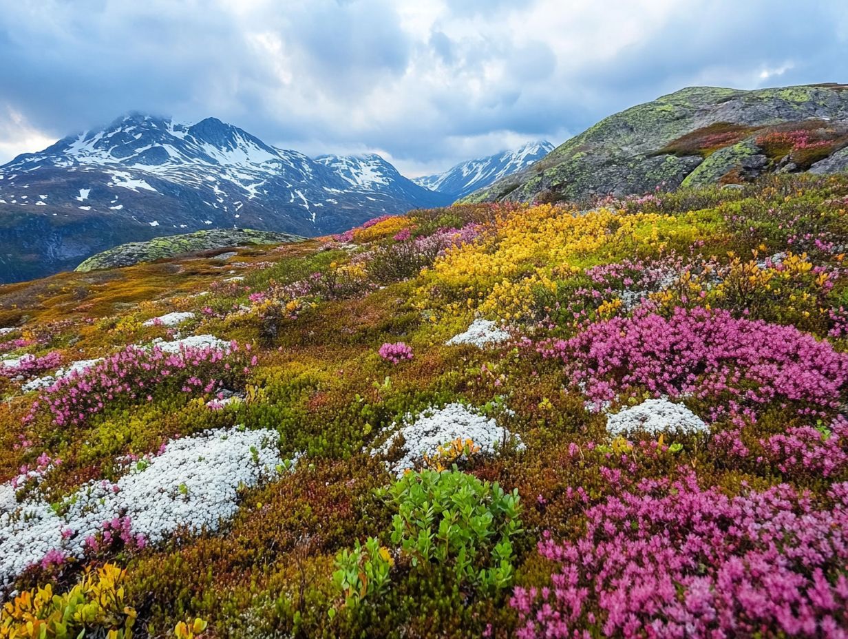 Ground cover options for cold climates