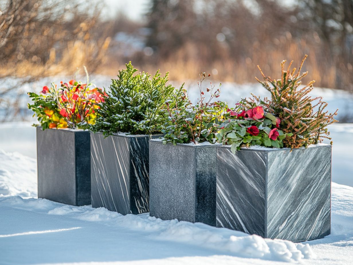 What Are the Best Practices for Maintaining Cold-Climate Planters?