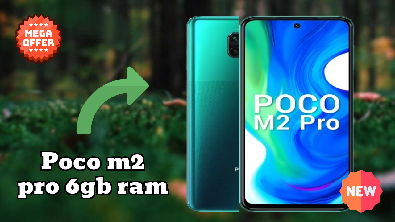 POCO M2 Pro 6GB RAM Camera Test: 48 MP + 8 MP + 5 MP + 2 MP Rear Camera Photo Quality